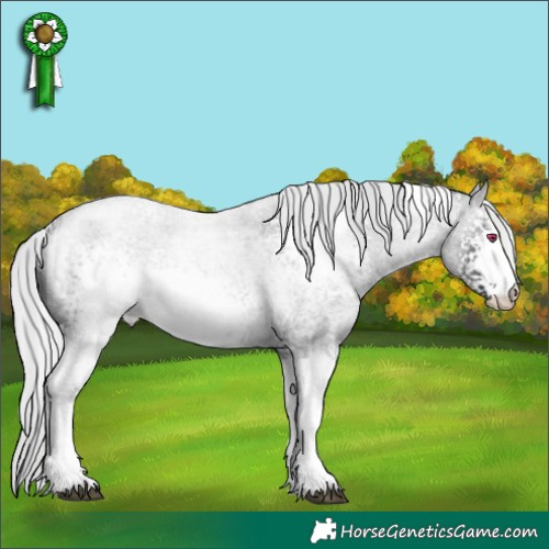 Horse Color:White Spotted Silver Brown Chinchilla Roan