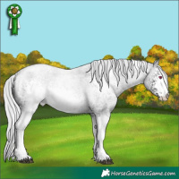 Horse Color:White Spotted Silver Brown Chinchilla Roan 