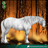Horse Color:White Spotted Silver Brown Chinchilla Roan 