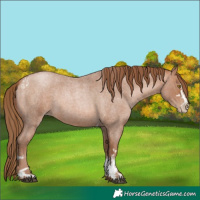 Horse Color:Brown Roan Pearl Tobiano  and Brown Roan Pearl 