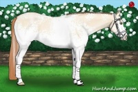 Horse Color:White Spotted Buckskin Pearl Dun 