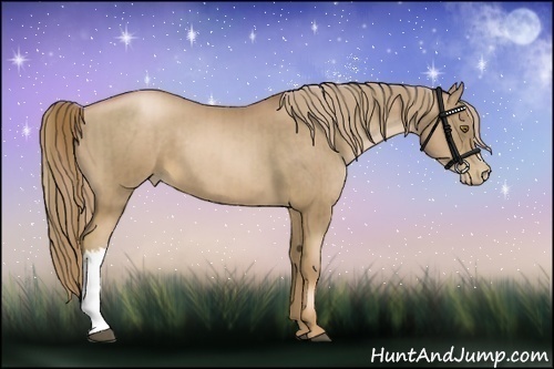 Horse Color:Liver Chestnut Pearl  and Liver Chestnut Pearl 