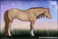 Horse Color:Bay Pearl  and Bay Pearl 
