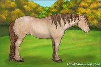 Horse Color:Bay Pearl Brindle