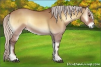 Horse Color:Silver Bay Onyx