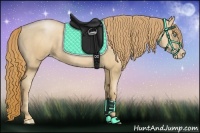 Horse Color:Gold Champagne Pearl  and Gold Champagne Pearl 