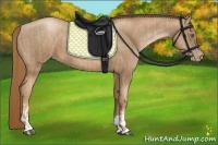 Horse Color:Liver Chestnut Pearl  and Liver Chestnut Pearl 
