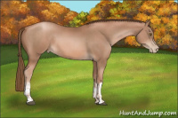 Horse Color:Liver Chestnut Pearl  and Liver Chestnut Pearl 