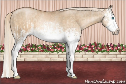 Horse Color:White Spotted Chocolate Palomino Pearl Dun Splash  and White Spotted Chocolate Palomino Pearl Dun Splash 