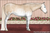 Horse Color:White Spotted Chocolate Palomino Pearl Dun Splash and White Spotted Chocolate Palomino Pearl Dun Splash