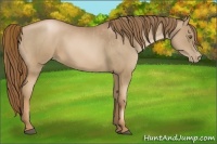 Horse Color:Liver Chestnut Pearl  and Liver Chestnut Pearl 