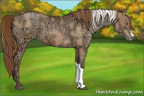 Horse Color:Silver Brown Ice Pearl  and Brown Ice Pearl 