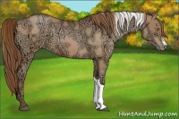 Horse Color:Silver Brown Ice Pearl  and Brown Ice Pearl 