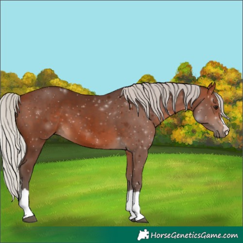 Horse Color:Silver Brown 