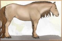 Horse Color:Liver Chestnut Pearl and Liver Chestnut Pearl