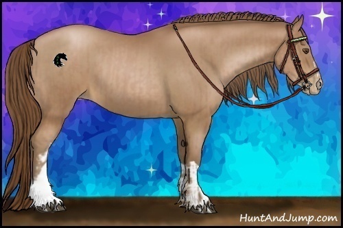 Horse Color:Brown Pearl  and Brown Pearl 