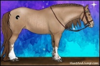 Horse Color:Brown Pearl and Brown Pearl