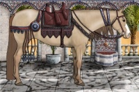 Horse Color:Grullo Pearl  Brindle
