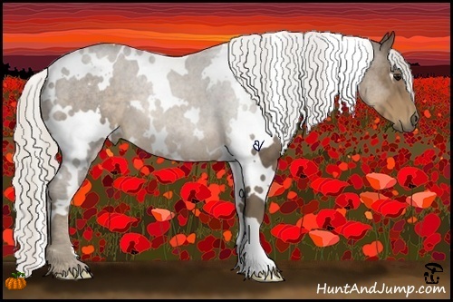 Horse Color:White Spotted Silver Smoky Black