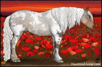 Horse Color:White Spotted Silver Smoky Black