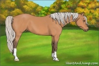 Horse Color:Silver Bay 