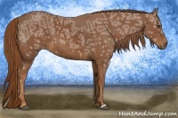 Horse Color:Chestnut Ice 