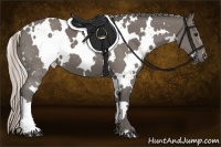 Horse Color:White Spotted Silver Black 