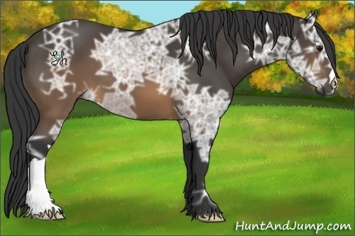 Horse Color:Buckskin Ice 