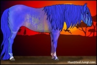 Horse Color:Watercolor Brown Rabicano and Watercolor Brown Rabicano