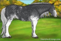 Horse Color:White Spotted Silver Black Chinchilla 