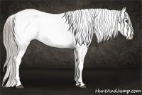 Horse Color:Chocolate Palomino Snowflake Varnish