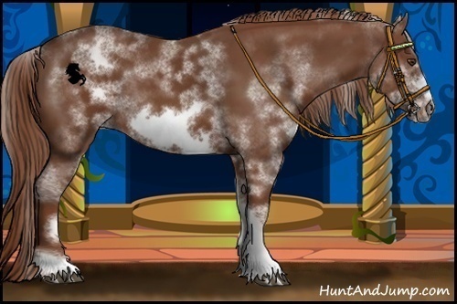 Horse Color:White Spotted Chestnut Sabino Frame 