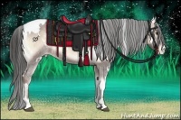 Horse Color:White Spotted Liver Red Onyx Appaloosa 