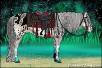 Horse Color:Liver Red Onyx Sabino Appaloosa 