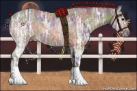 Horse Color:Nacre Buckskin Ice Sabino 