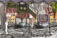 Horse Color:White Spotted Liver Chestnut Appaloosa 