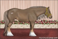 Horse Color:Chocolate Palomino
