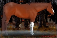Horse Color:Chocolate Brown 