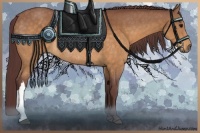 Horse Color:Chocolate Buckskin Rabicano 