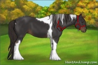 Horse Color:Liver Chestnut Tobiano 