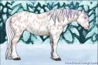 Horse Color:Watercolor White Spotted Silver Brown Chinchilla Splash Near Leopard 