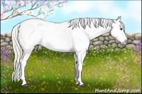 Horse Color:Silver Bay Dun Varnish