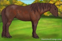 Horse Color:Chocolate Brown 