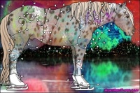 Horse Color:White Spotted Liver Chestnut Varnish Rabicano 
