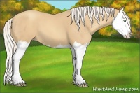 Horse Color:Gold Cream Champagne Splash 