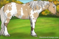Horse Color:White Spotted Silver Buckskin Dun 