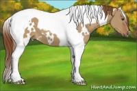 Horse Color:White Spotted Red Dun Tobiano