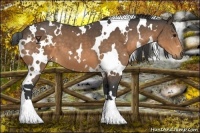 Horse Color:White Spotted Buckskin 