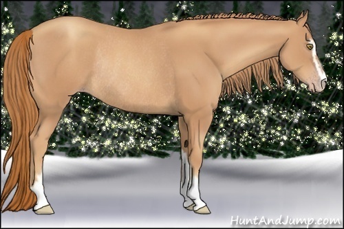 Horse Color:Gold Champagne Sabino Rabicano 