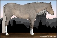 Horse Color:Silver Smoky Blue Roan
